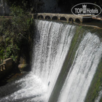 фото из отзыва ID 1432038