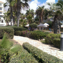 фото из отзыва ID 1432078