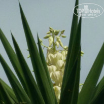 фото из отзыва ID 1431203