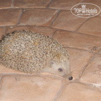 фото из отзыва ID 1432092