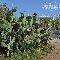 фото из отзыва ID 1432142