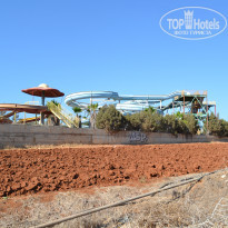 фото из отзыва ID 1432142