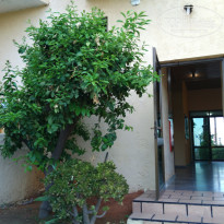 фото из отзыва ID 1432159