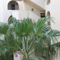 фото из отзыва ID 1432164