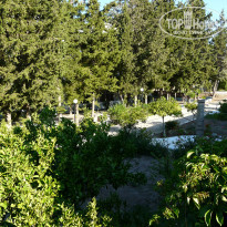 фото из отзыва ID 1432247