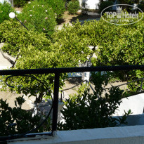 фото из отзыва ID 1432247