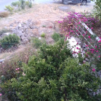 фото из отзыва ID 1432250