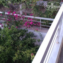 фото из отзыва ID 1432250