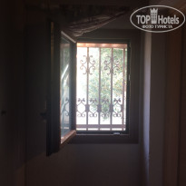 фото из отзыва ID 1432289