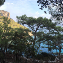 фото из отзыва ID 1432318