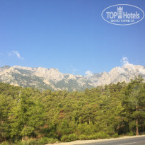 фото из отзыва ID 1432318