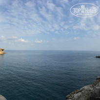 фото из отзыва ID 1432318