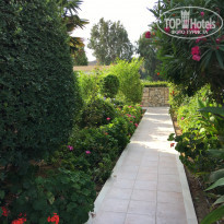 фото из отзыва ID 1432437