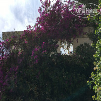 фото из отзыва ID 1432437