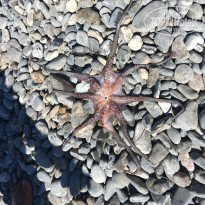 фото из отзыва ID 1432437