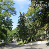 фото из отзыва ID 1432448