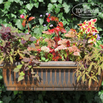 фото из отзыва ID 1432448