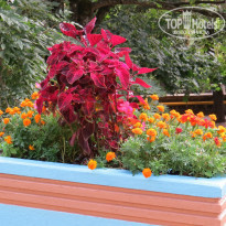 фото из отзыва ID 1432448