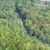 фото из отзыва ID 1432448