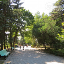 фото из отзыва ID 1432448