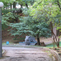 фото из отзыва ID 1432448