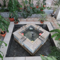 фото из отзыва ID 1432448