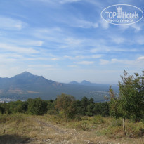 фото из отзыва ID 1432448