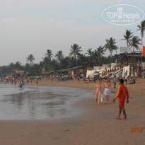 фото из отзыва ID 1432058