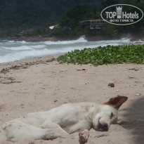 фото из отзыва ID 1432530