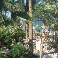 фото из отзыва ID 1432612