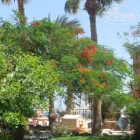 фото из отзыва ID 1432612