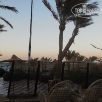 фото из отзыва ID 1432612