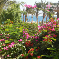 фото из отзыва ID 1432612