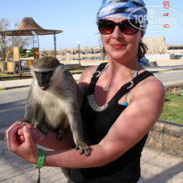 фото из отзыва ID 1432615