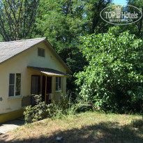 фото из отзыва ID 1432630