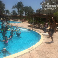 фото из отзыва ID 1432642