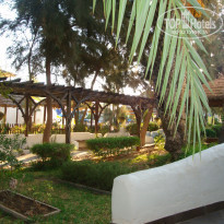 фото из отзыва ID 1432653