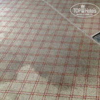 фото из отзыва ID 1432660