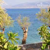 фото из отзыва ID 1432673