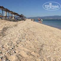 фото из отзыва ID 1432825