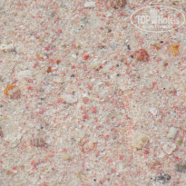 фото из отзыва ID 1432848