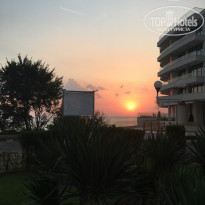 фото из отзыва ID 1430910