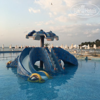 фото из отзыва ID 1430910