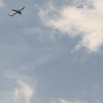 фото из отзыва ID 1430910