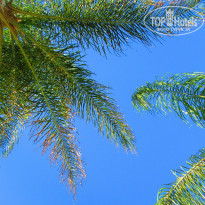 фото из отзыва ID 1432895