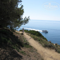 фото из отзыва ID 1433086