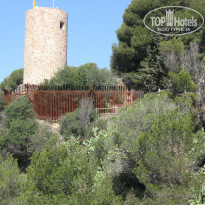 фото из отзыва ID 1433086