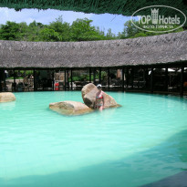 фото из отзыва ID 1433088