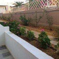 фото из отзыва ID 1433101