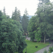 фото из отзыва ID 1433191